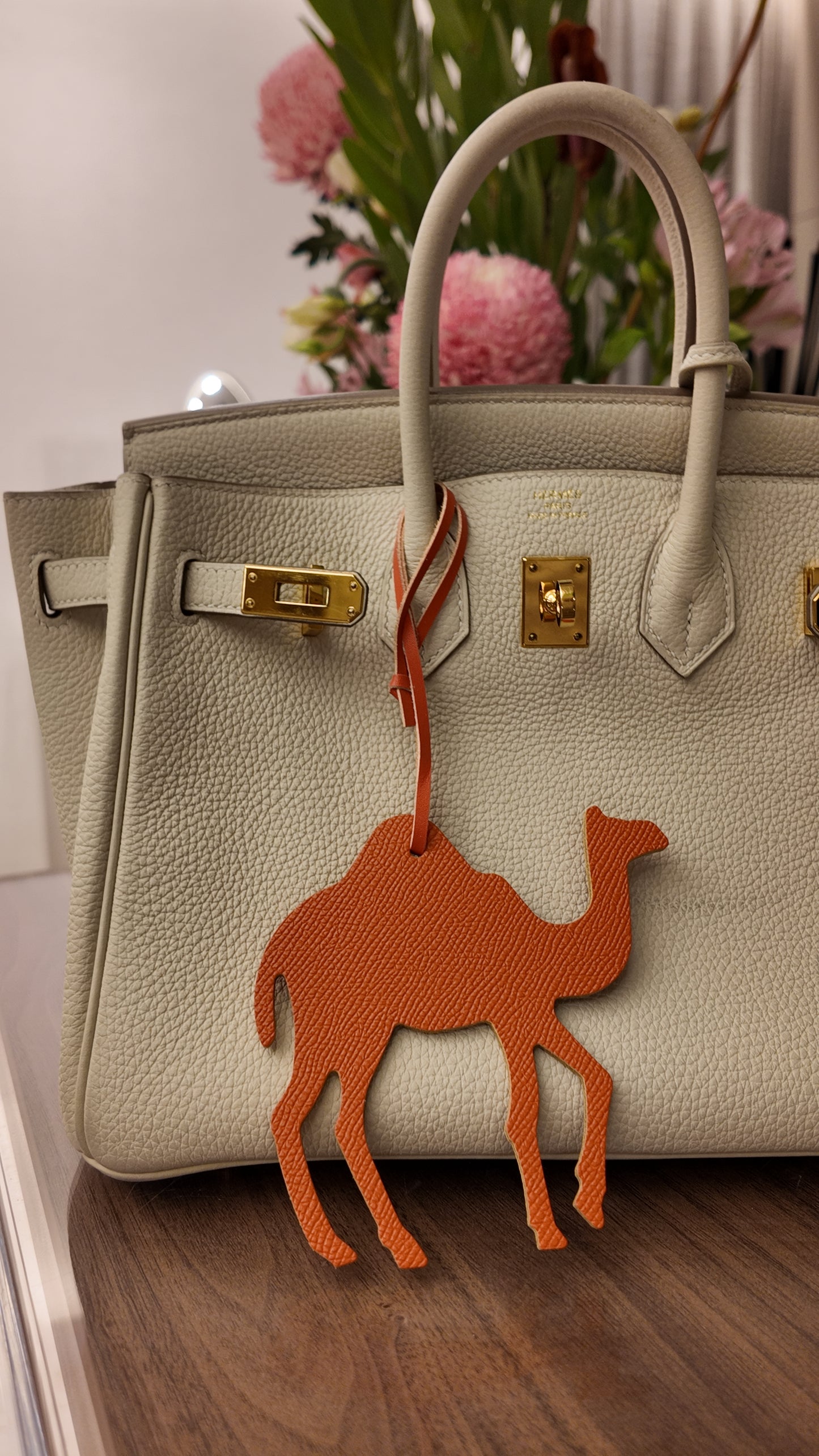 Orange Camel